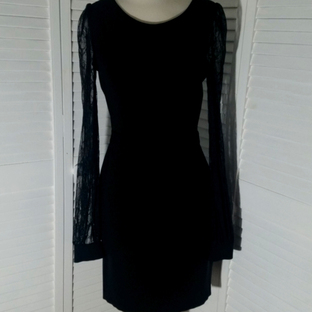 NWOT RACHEL ZOE SZ 10 LBD sheer lace sleeves